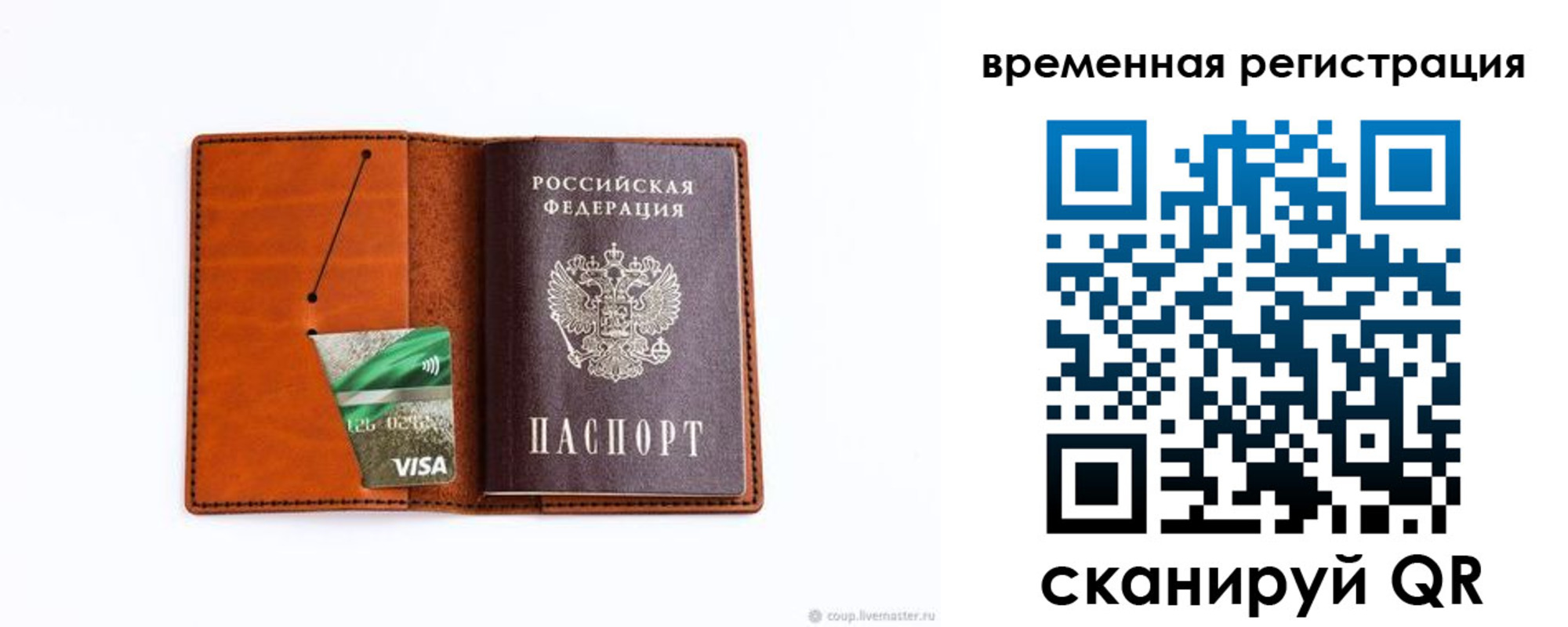 прописка для школы в Зверево